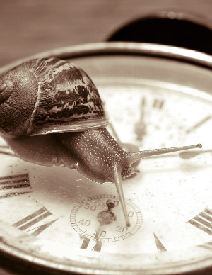 Visuel de l'evenement